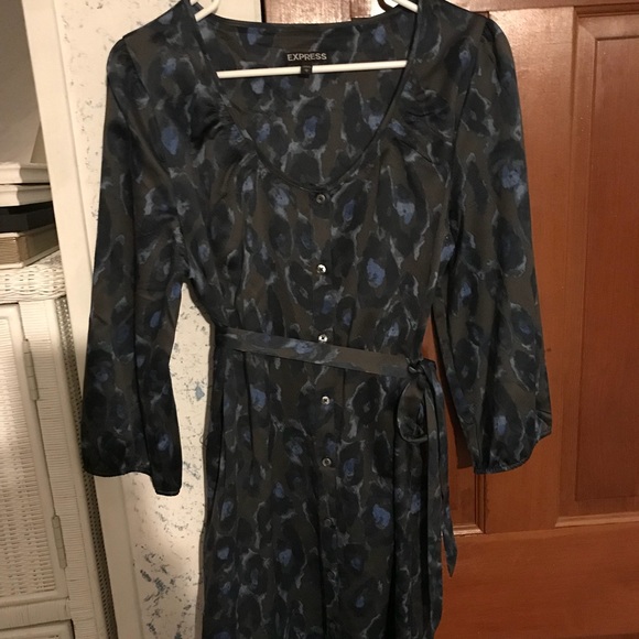 Express Dress - Picture 2 of 4